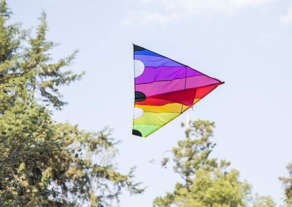 Areaware x Fredericks and Mae Sunset Kite