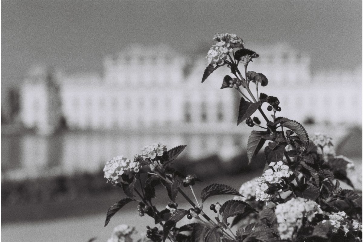 Lomography Berlin Kino B&W Film -35mm ISO 400