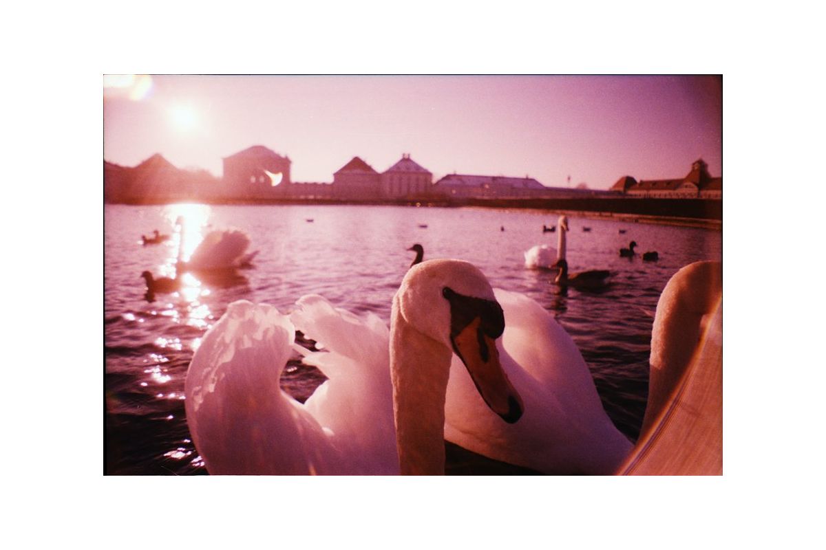 La Sardina Camera 8Ball Edition