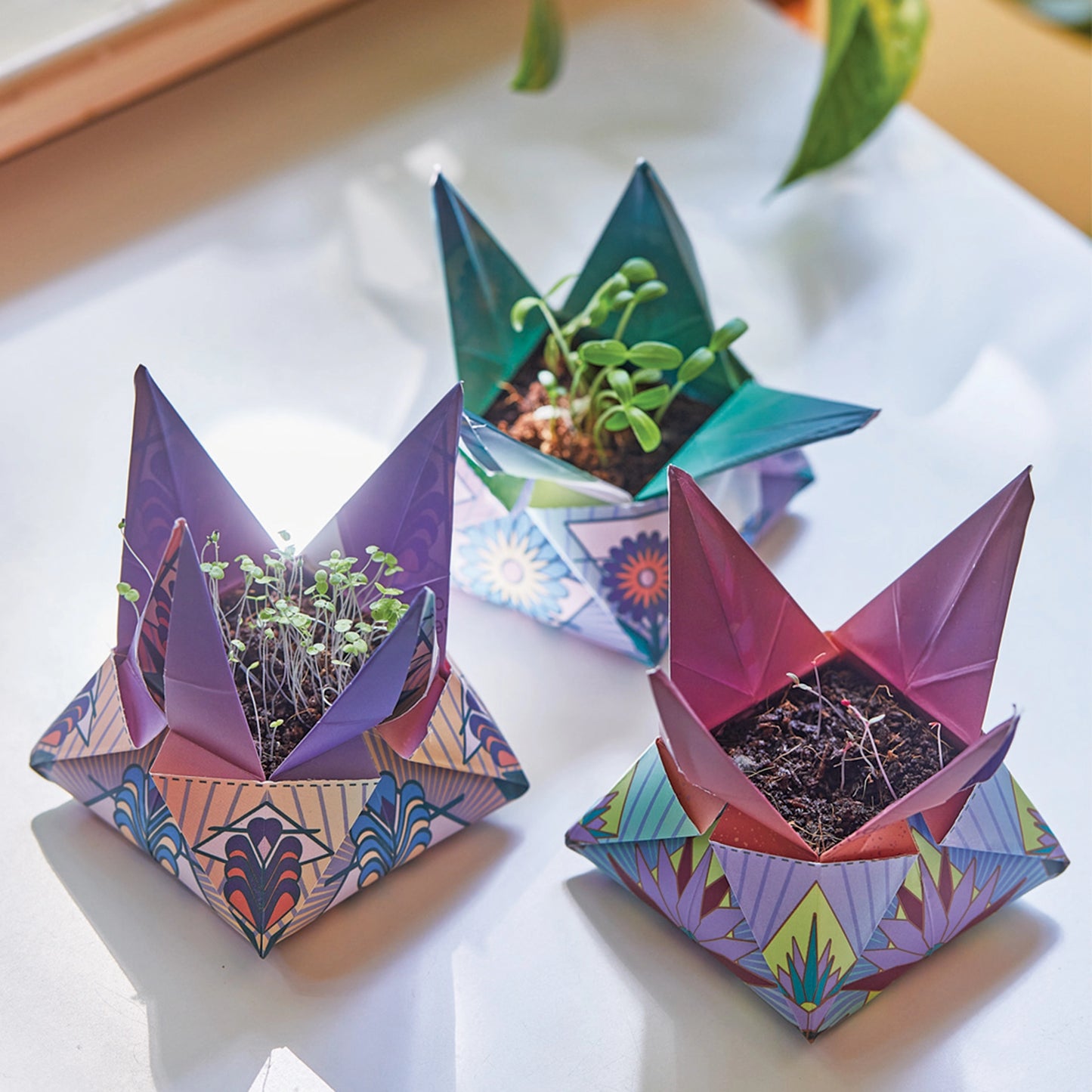 Cosmic Seed Kit