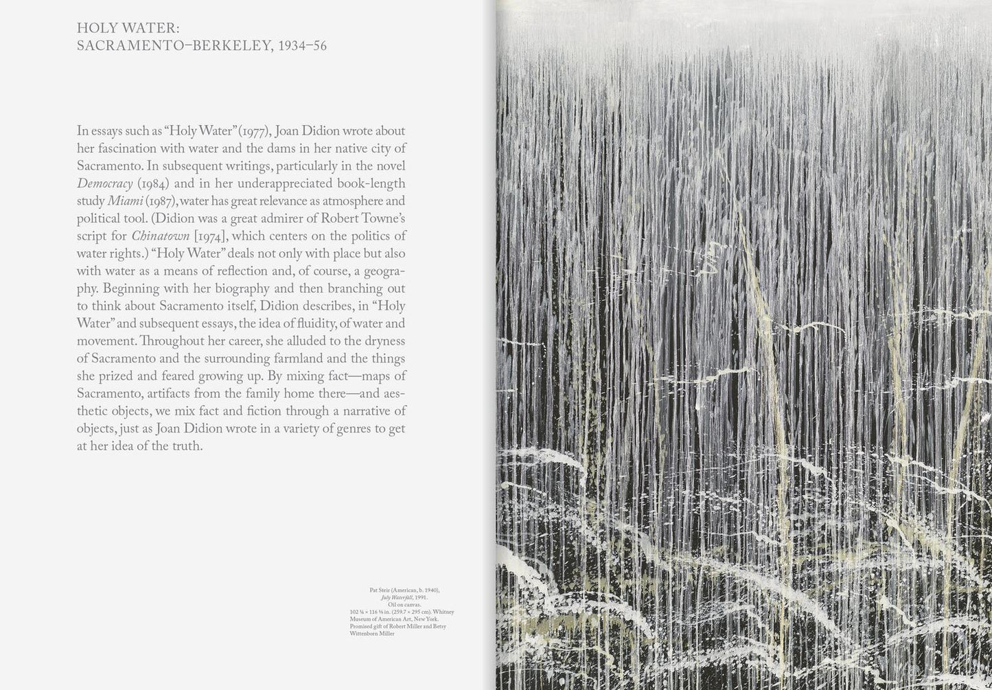 Joan Didion: What She Means