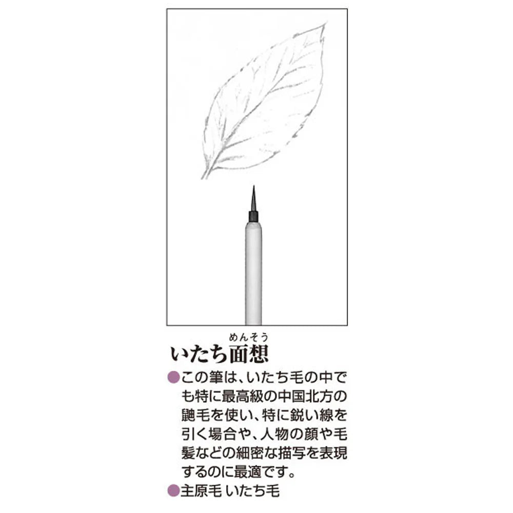Akashiya Japanese Design Brush Basic Set 3Pc