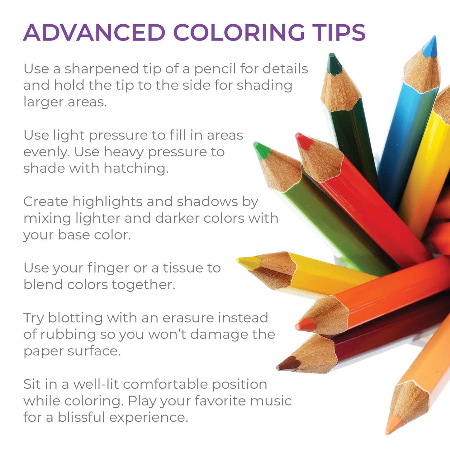 Van Gogh Color Colored Pencil Set & Coloring Pages