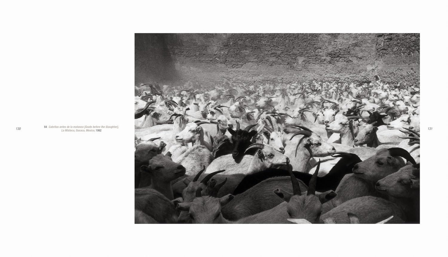 Graciela Iturbide