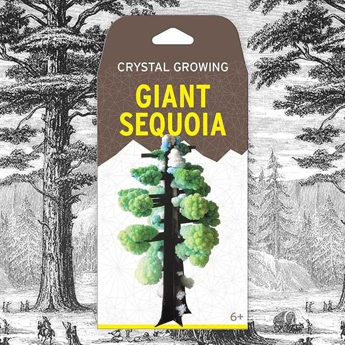 Giant Sequoia Crystal Growing