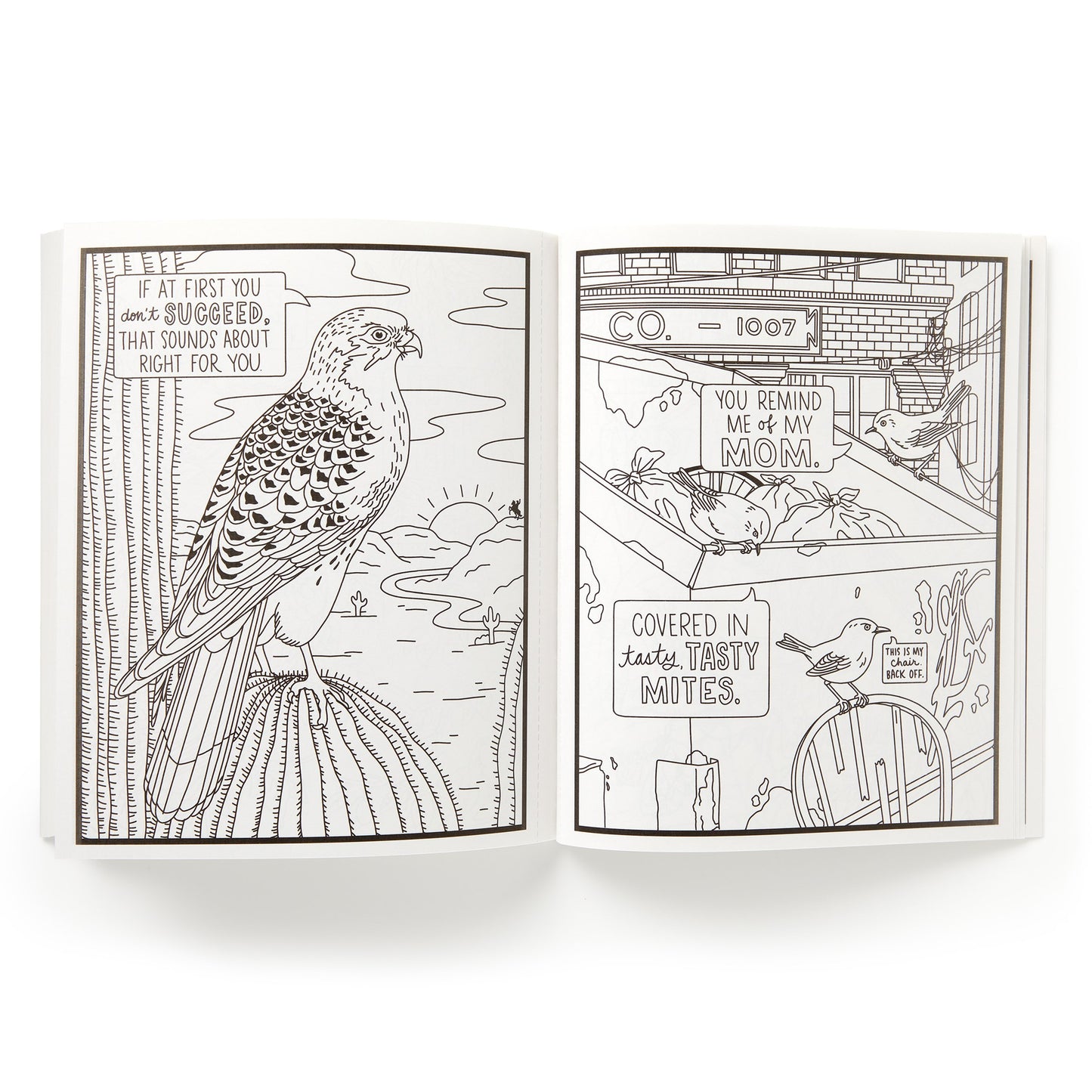 Salty Birds Coloring Book