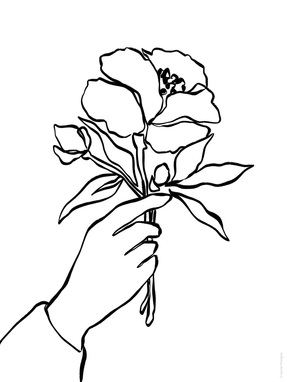 The Sweet Life Painting and Coloring Book