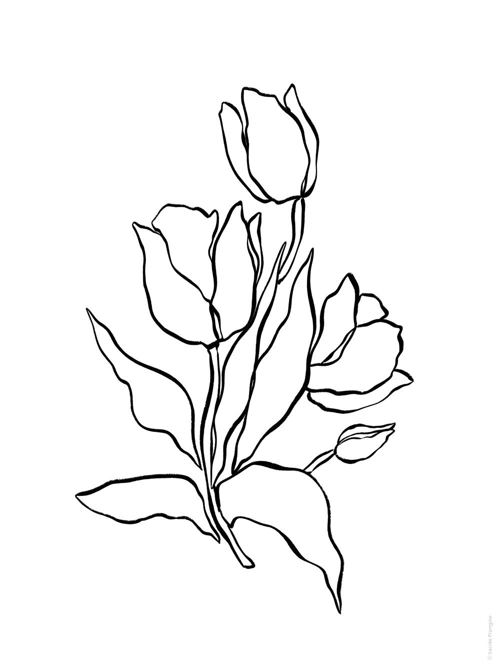The Sweet Life Painting and Coloring Book