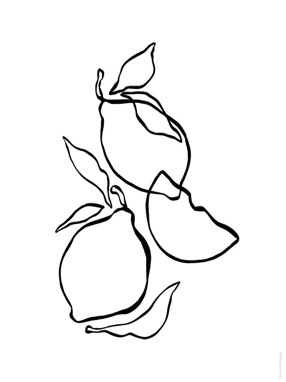 The Sweet Life Painting and Coloring Book