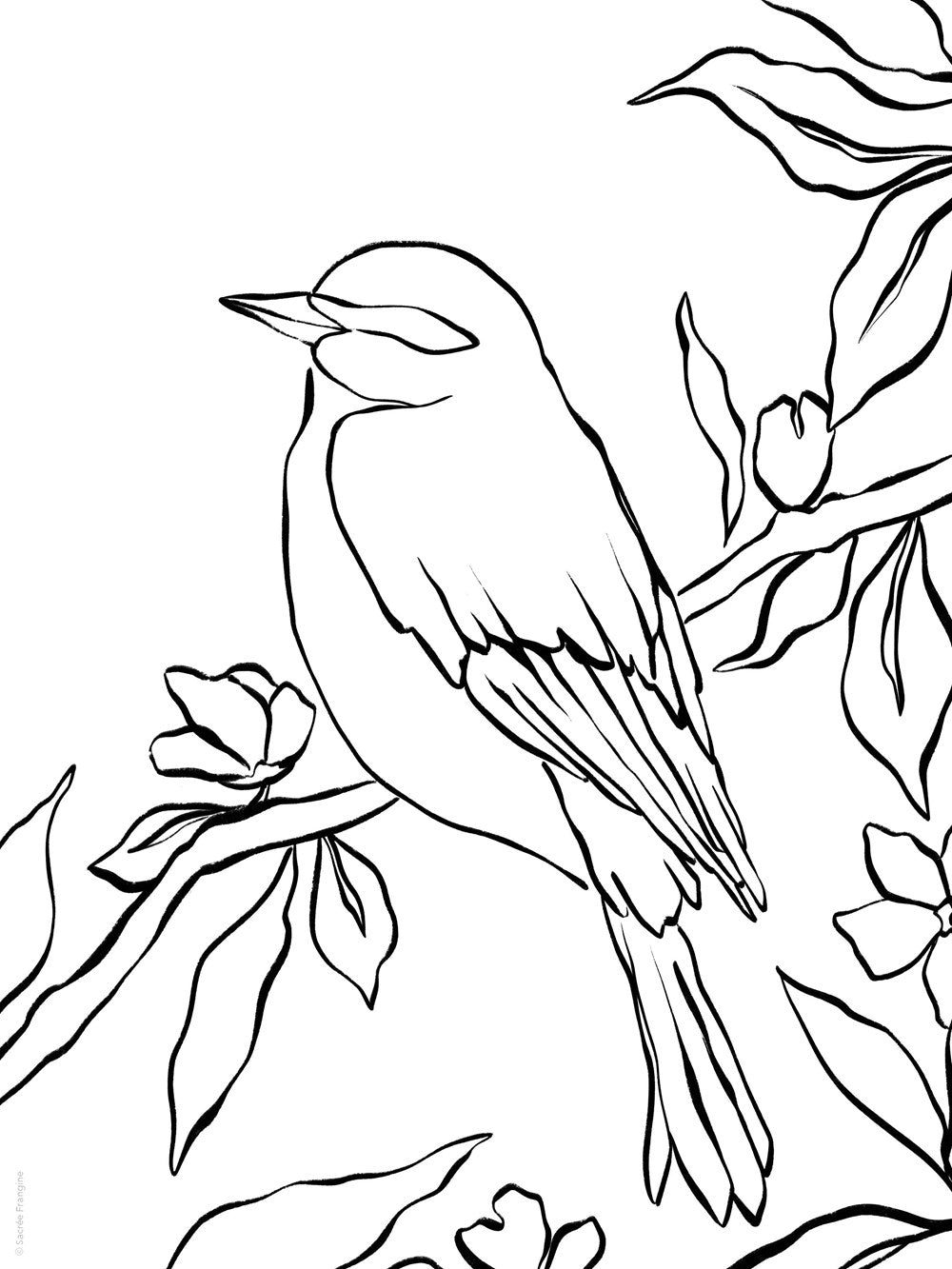 The Sweet Life Painting and Coloring Book