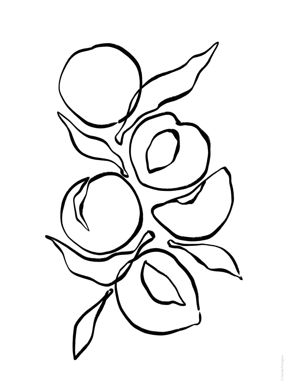 The Sweet Life Painting and Coloring Book