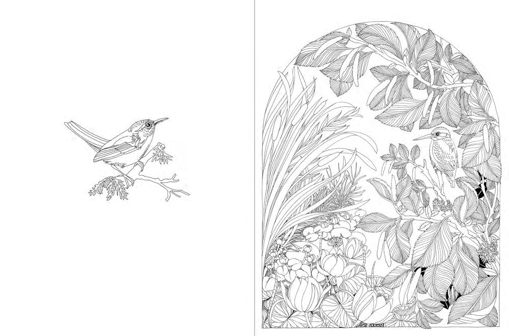A Walk in the Woods: An Intricate Coloring Book