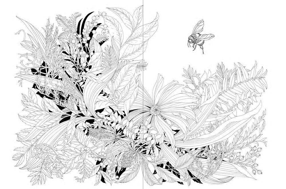 A Walk in the Woods: An Intricate Coloring Book
