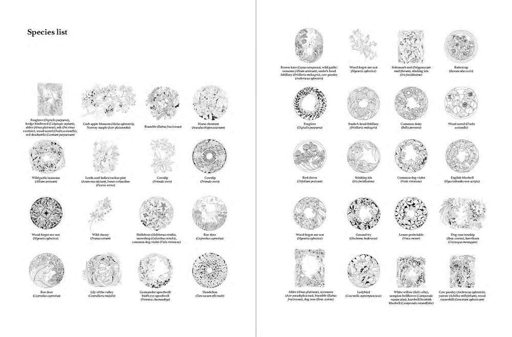 A Walk in the Woods: An Intricate Coloring Book