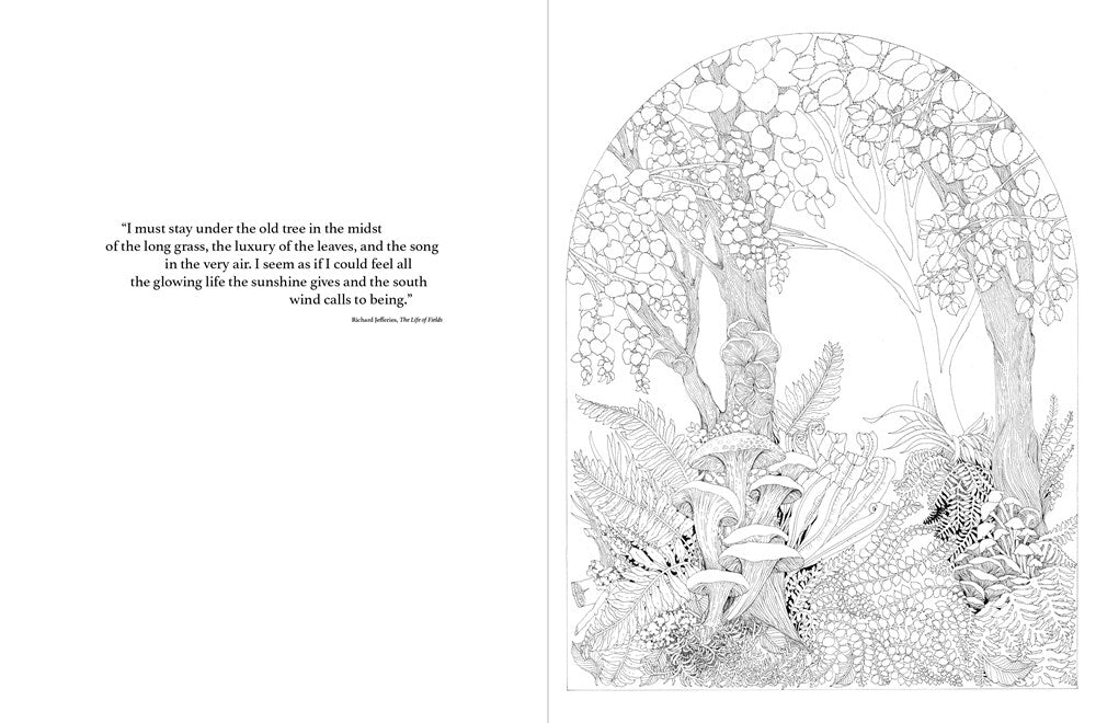 A Walk in the Woods: An Intricate Coloring Book