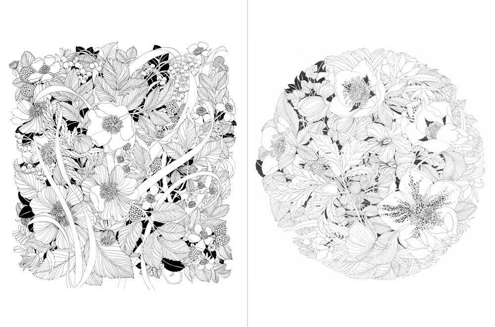 A Walk in the Woods: An Intricate Coloring Book