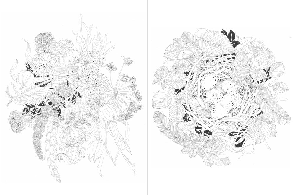 A Walk in the Woods: An Intricate Coloring Book