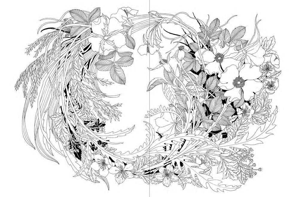 A Walk in the Woods: An Intricate Coloring Book