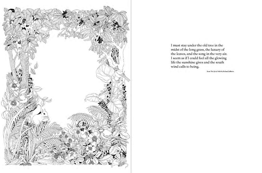 A Walk in the Woods: An Intricate Coloring Book