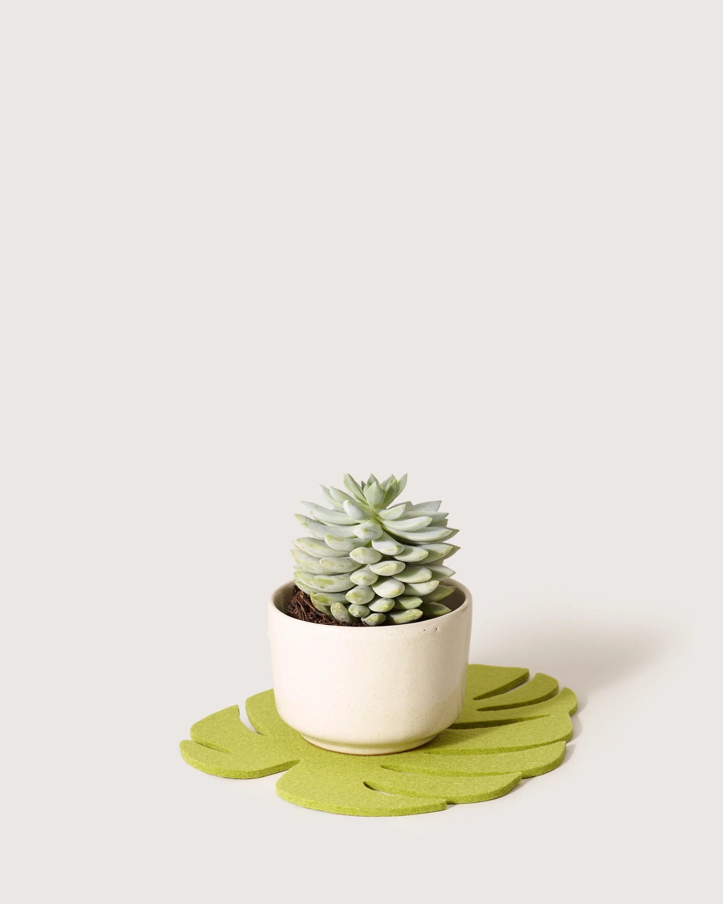 Monstera Leaf Trivet