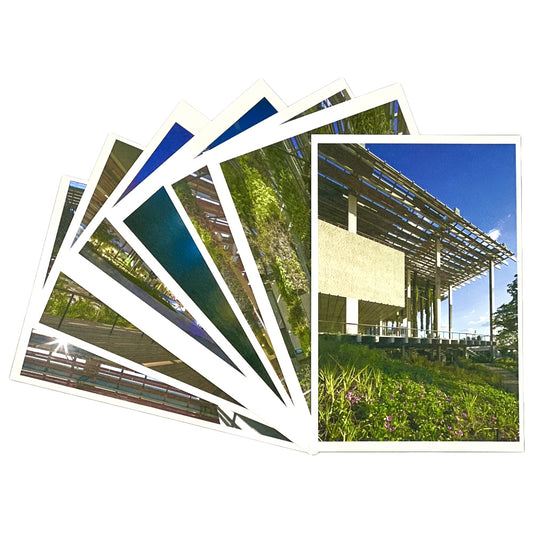 PAMM Postcard Set