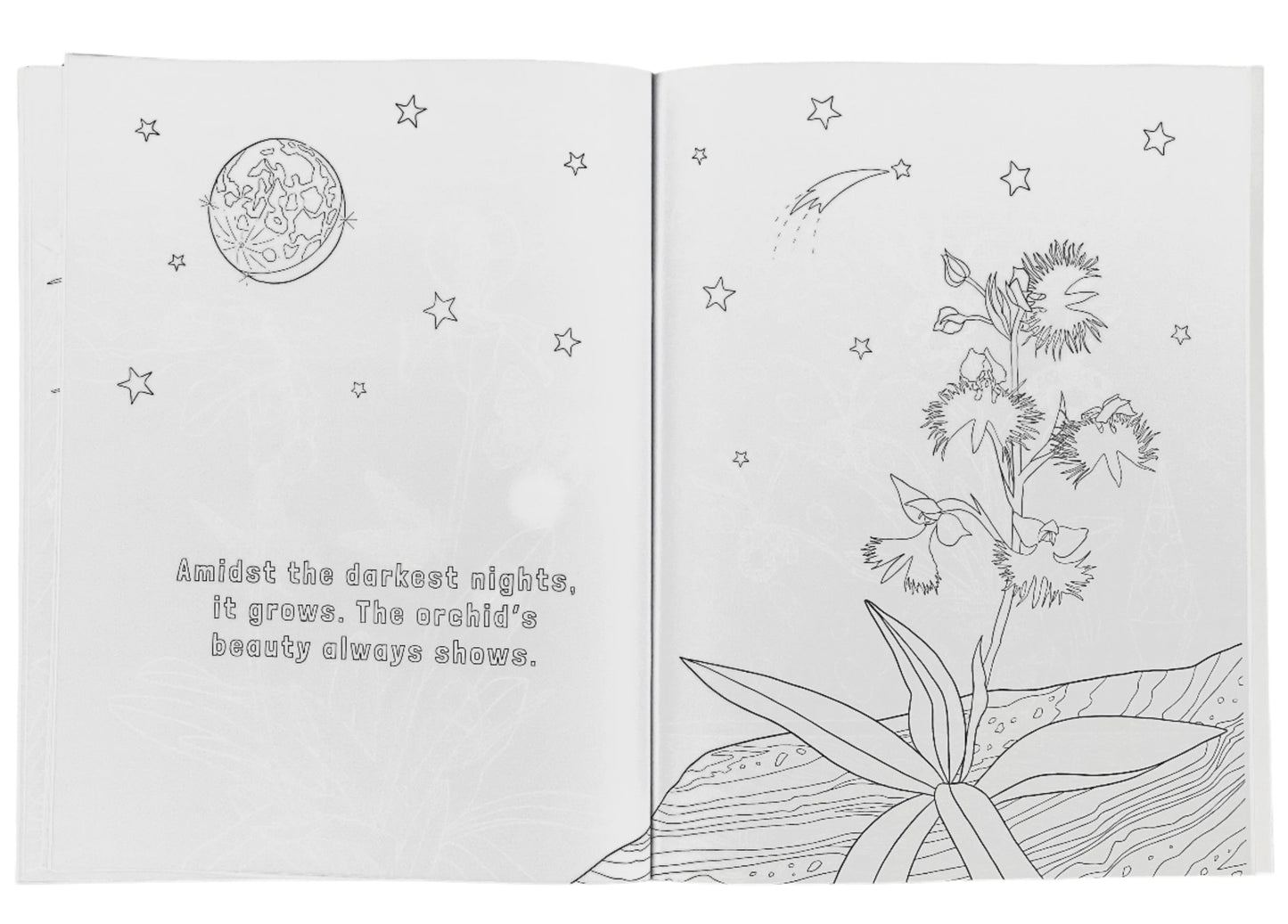 The Magical World of Orchids Coloring Book
