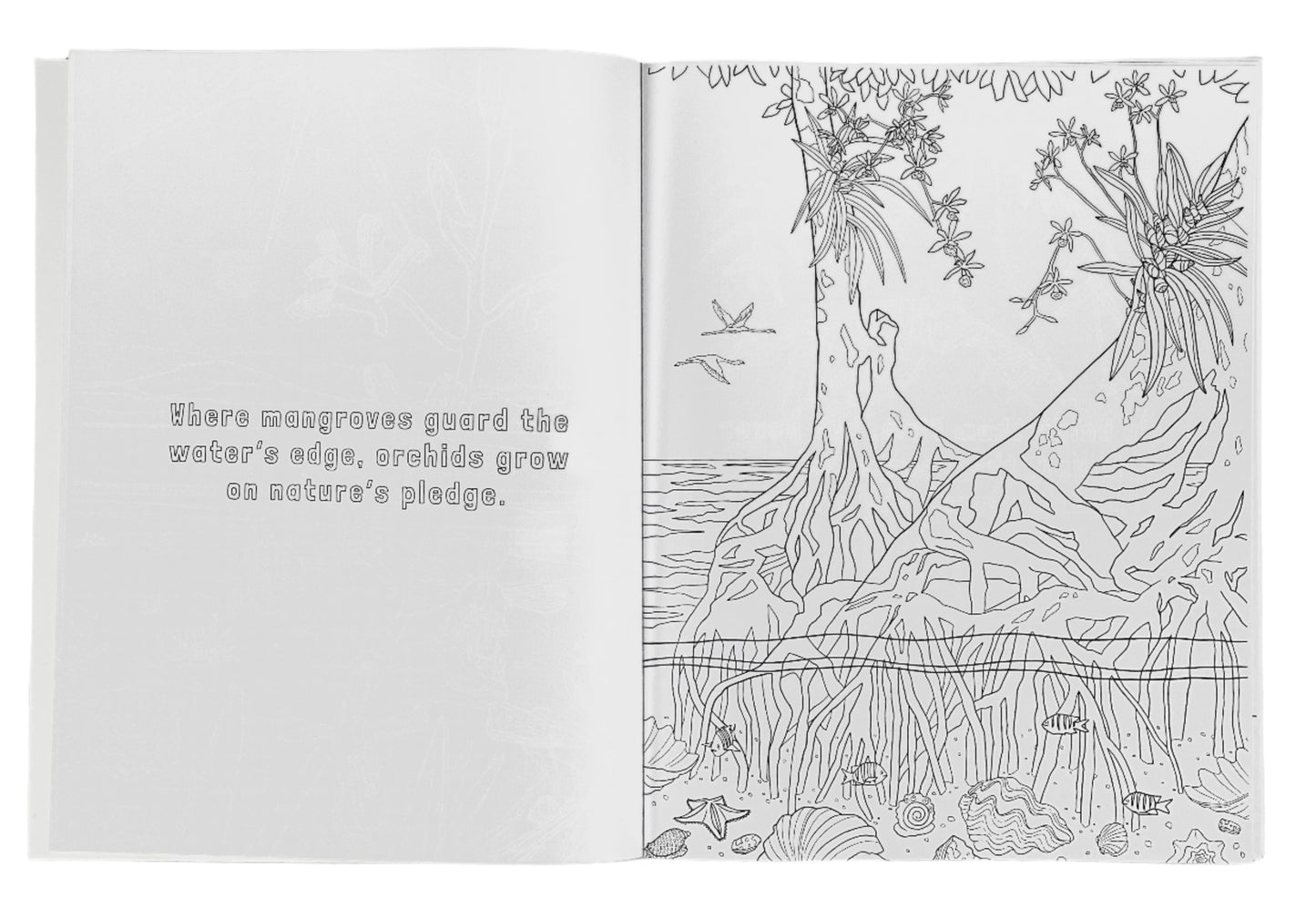 The Magical World of Orchids Coloring Book