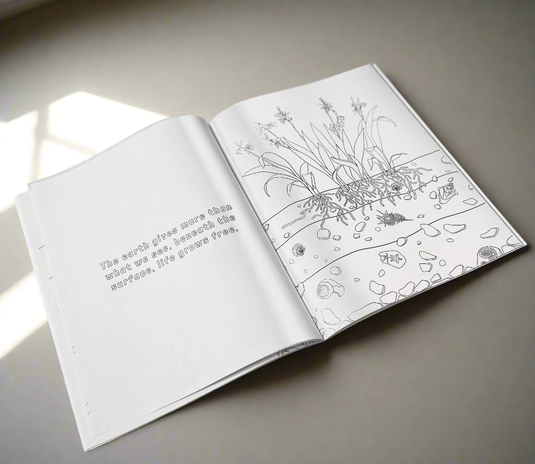 The Magical World of Orchids Coloring Book