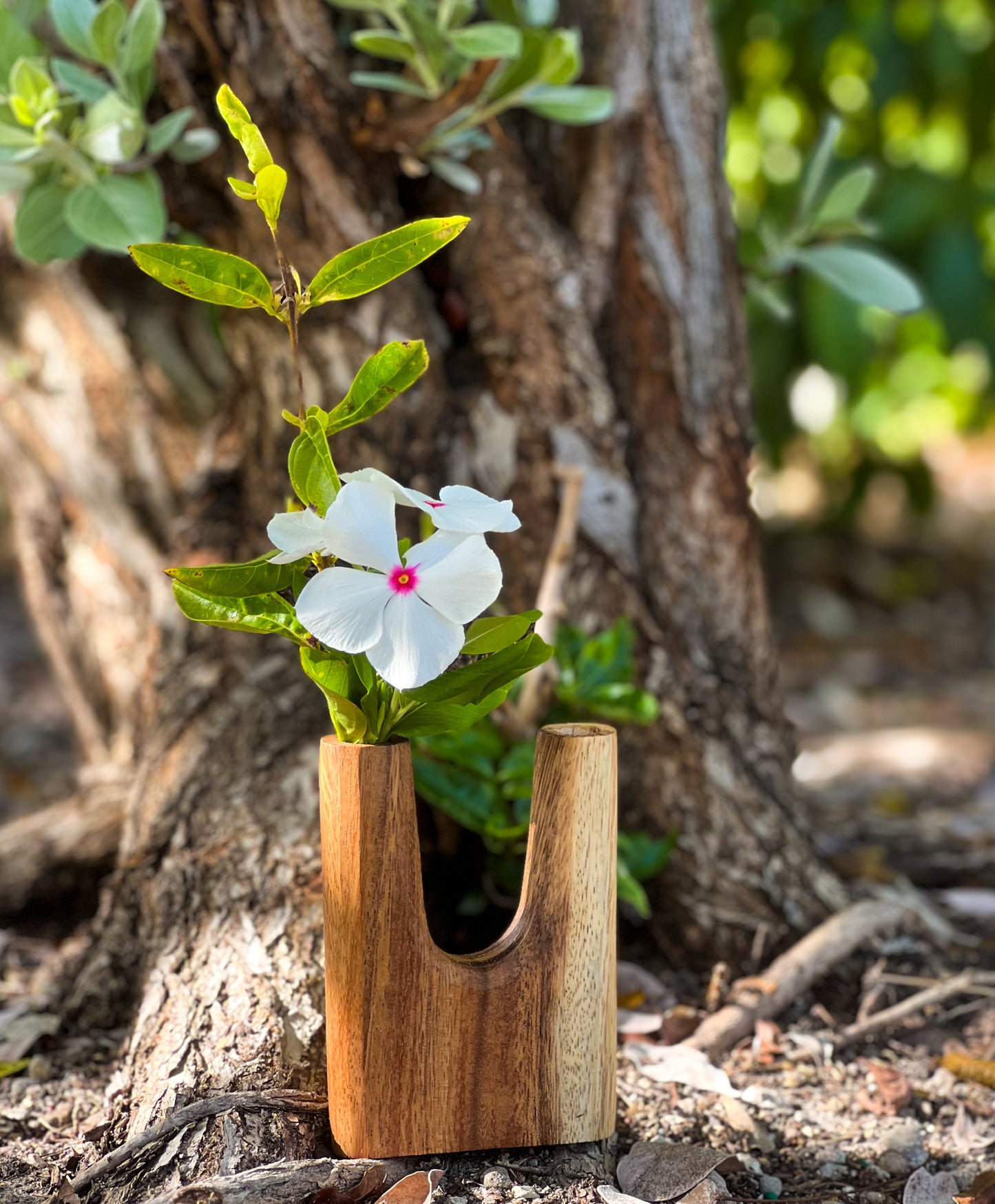Hand Carved Wooden Vases