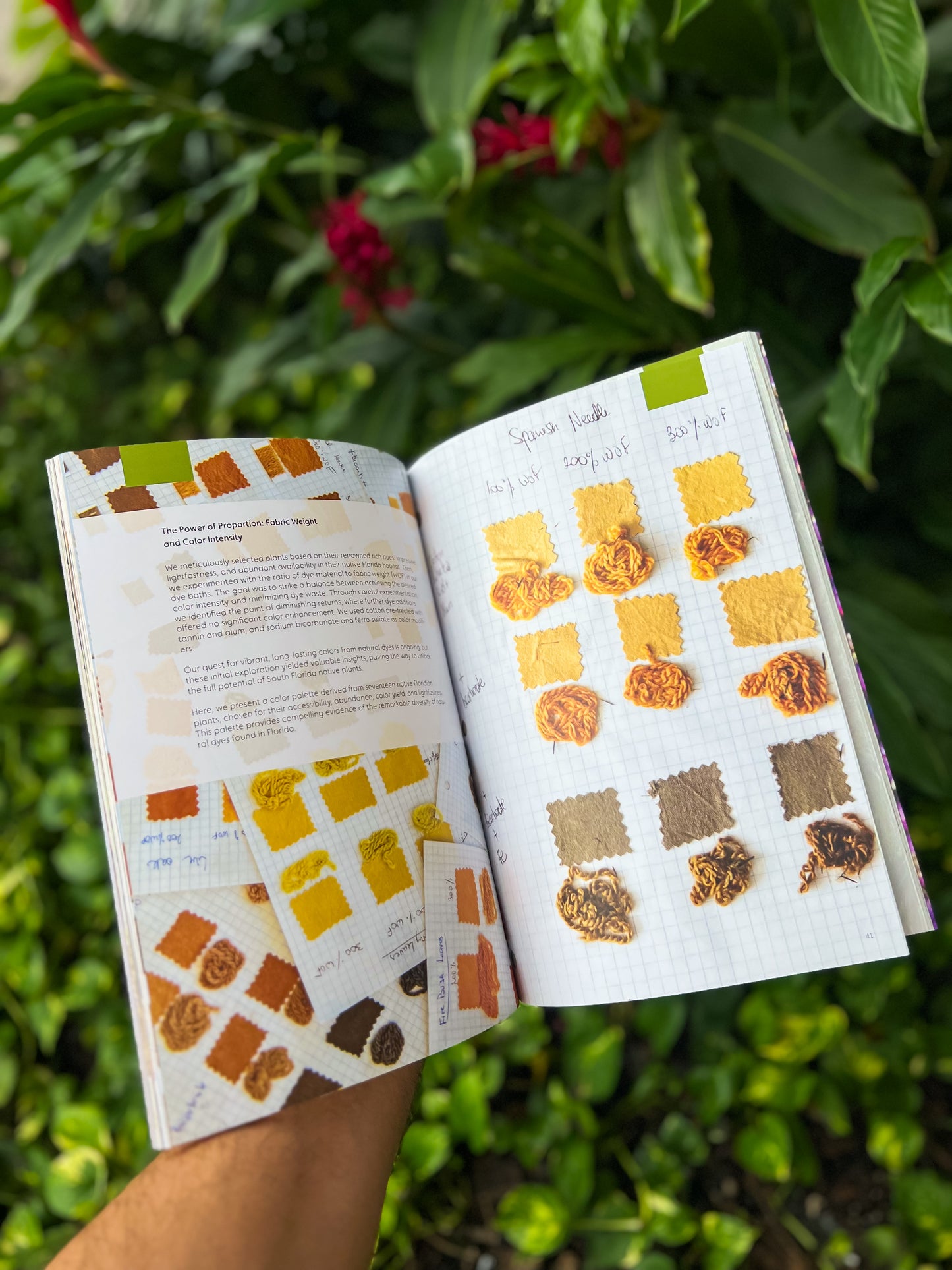 South Florida Color Palette Native Plants and Natural Dyes