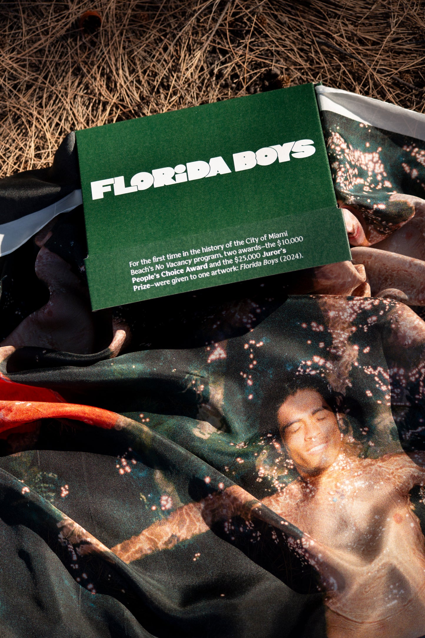 Florida Boys Limited Edition Silk Print by Josh Aronson