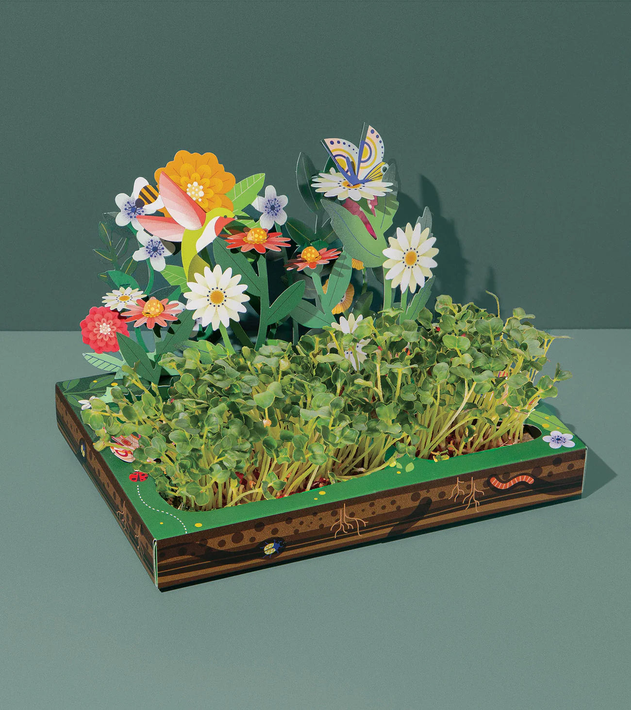 Edible Microgreens Pop-Up Garden