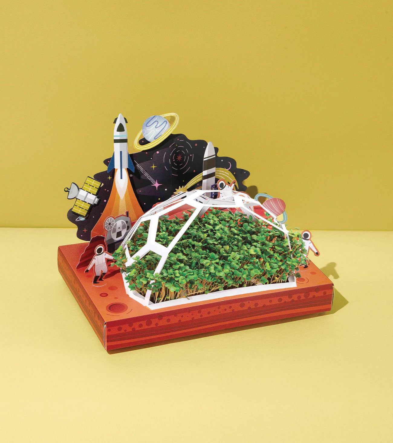 Edible Microgreens Pop-Up Garden