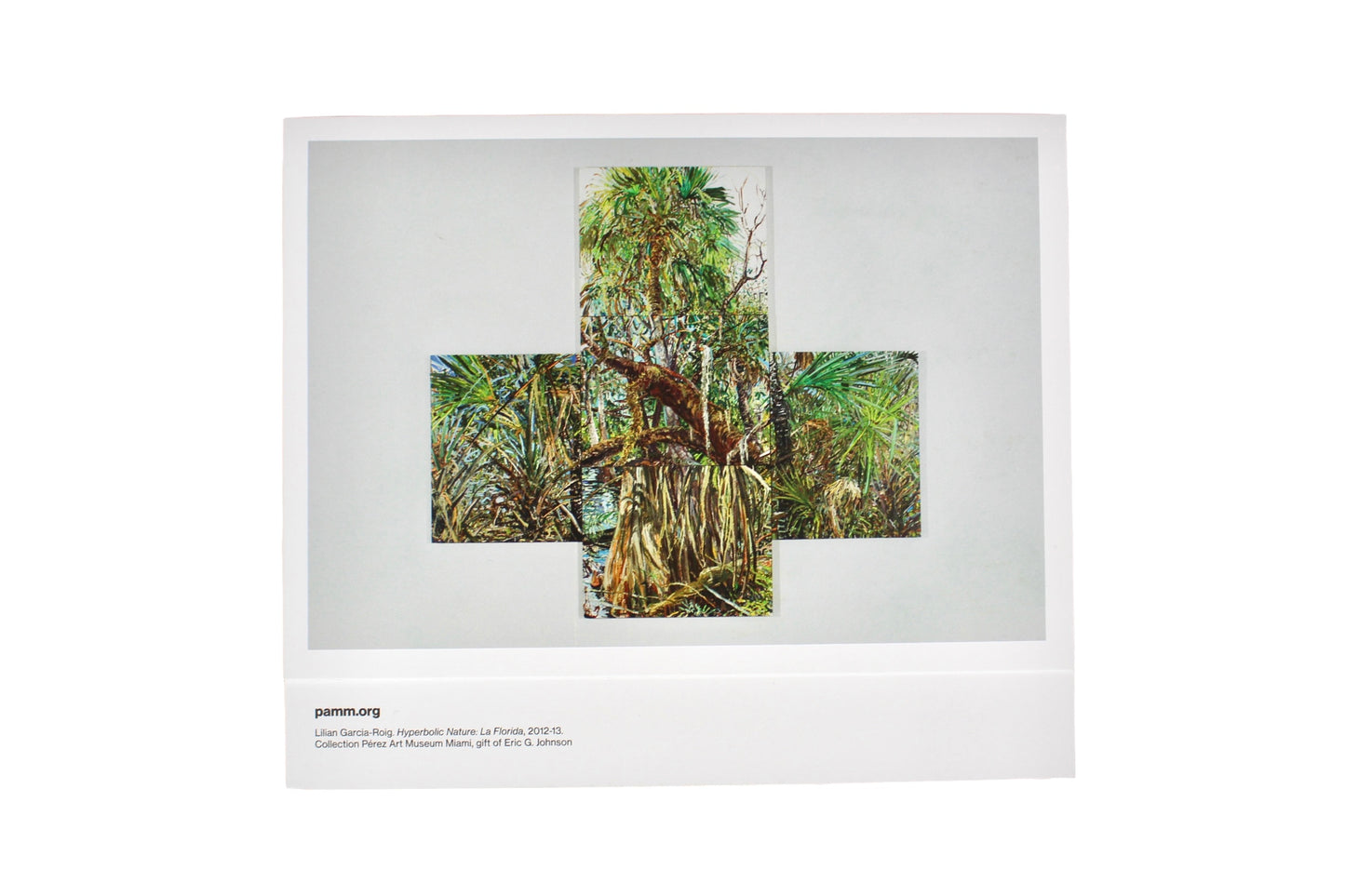 PAMM Permanent Collection Cards (Set of 12)