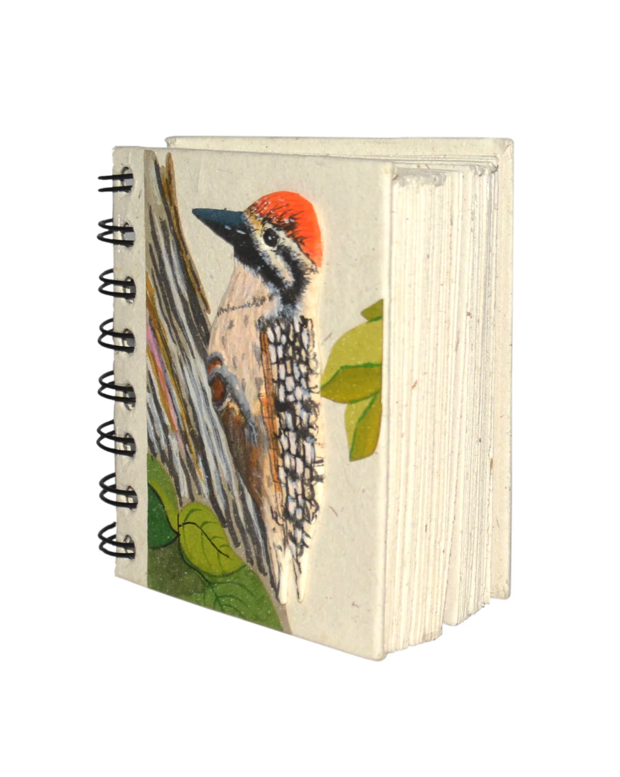 Mr.Ellie Pooh Notebook: Small Woodpecker