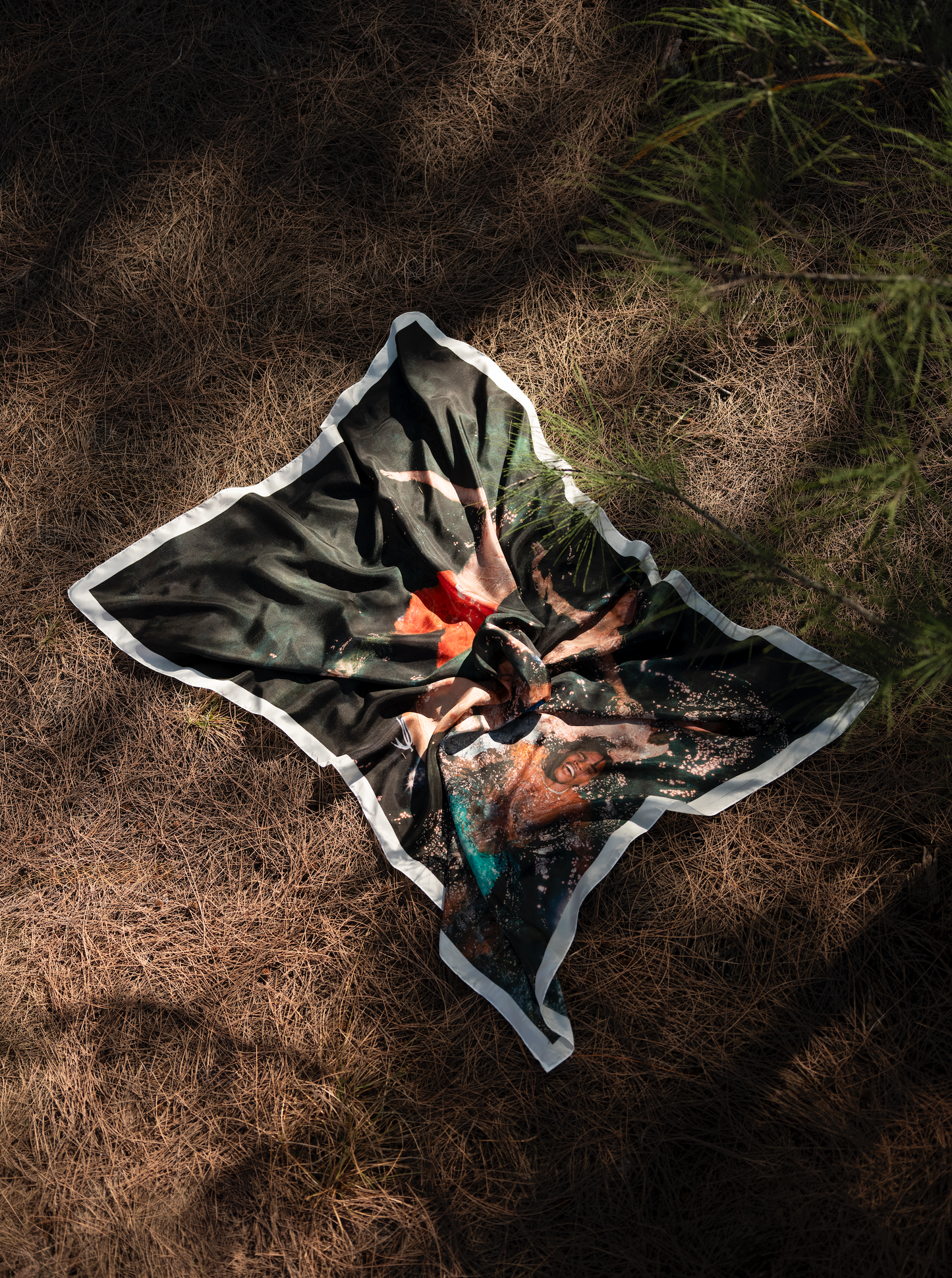 Florida Boys Limited Edition Silk Print by Josh Aronson