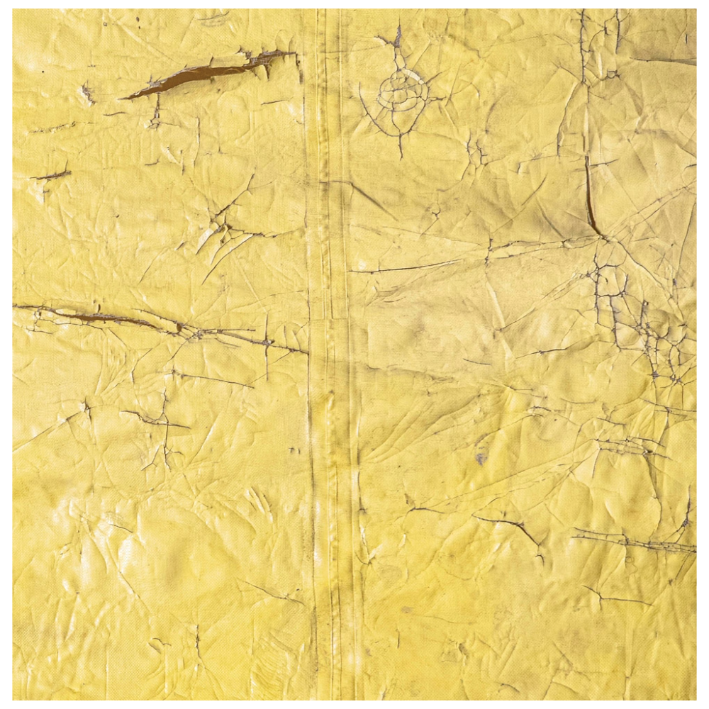 David Hammons