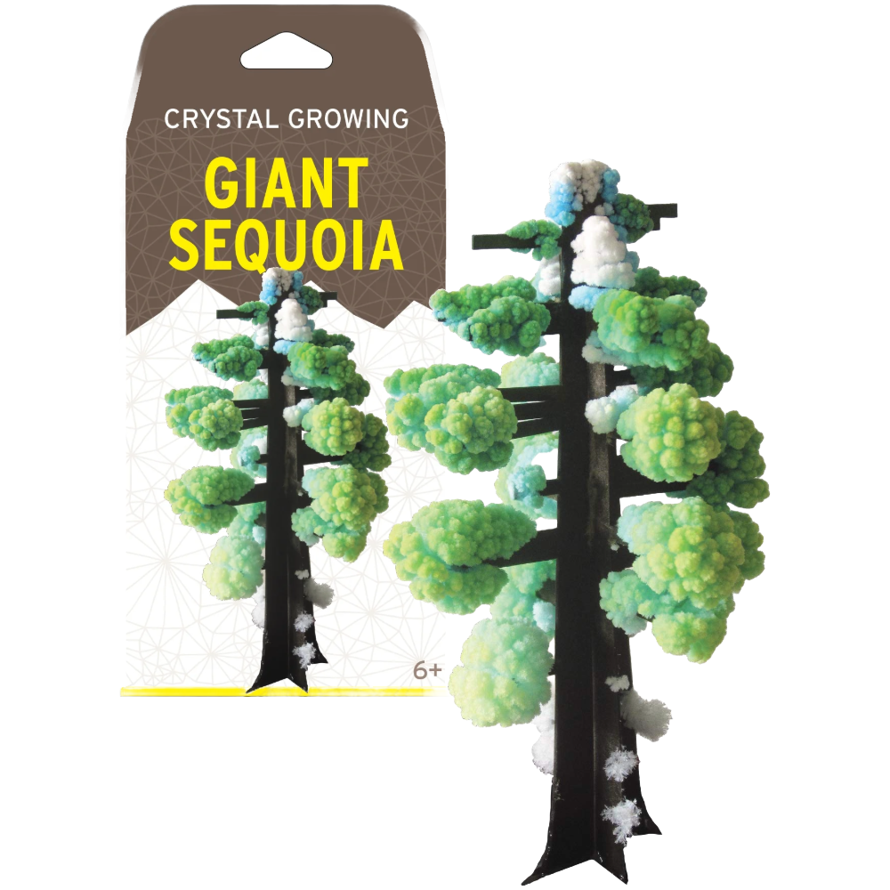 Giant Sequoia Crystal Growing