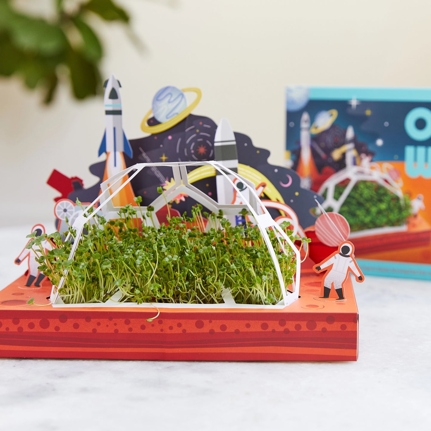 Edible Microgreens Pop-Up Garden
