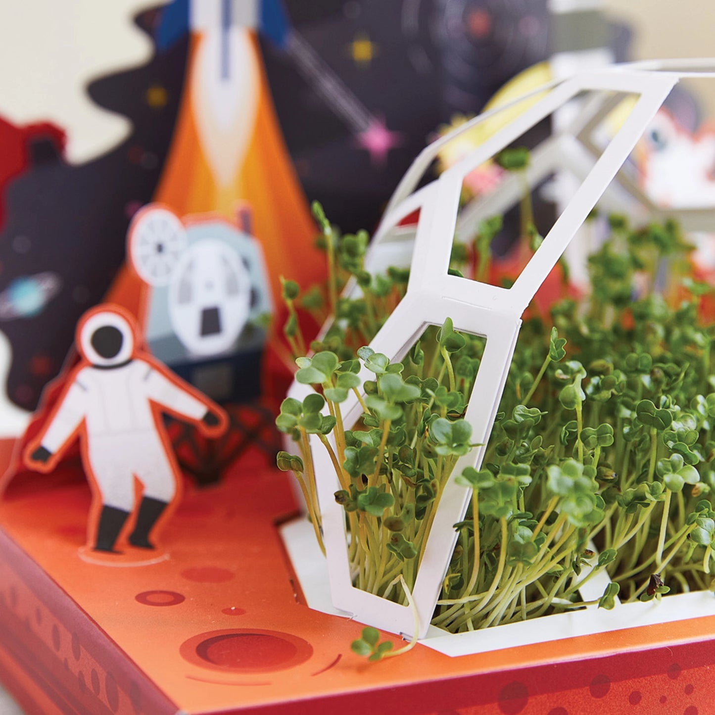 Edible Microgreens Pop-Up Garden