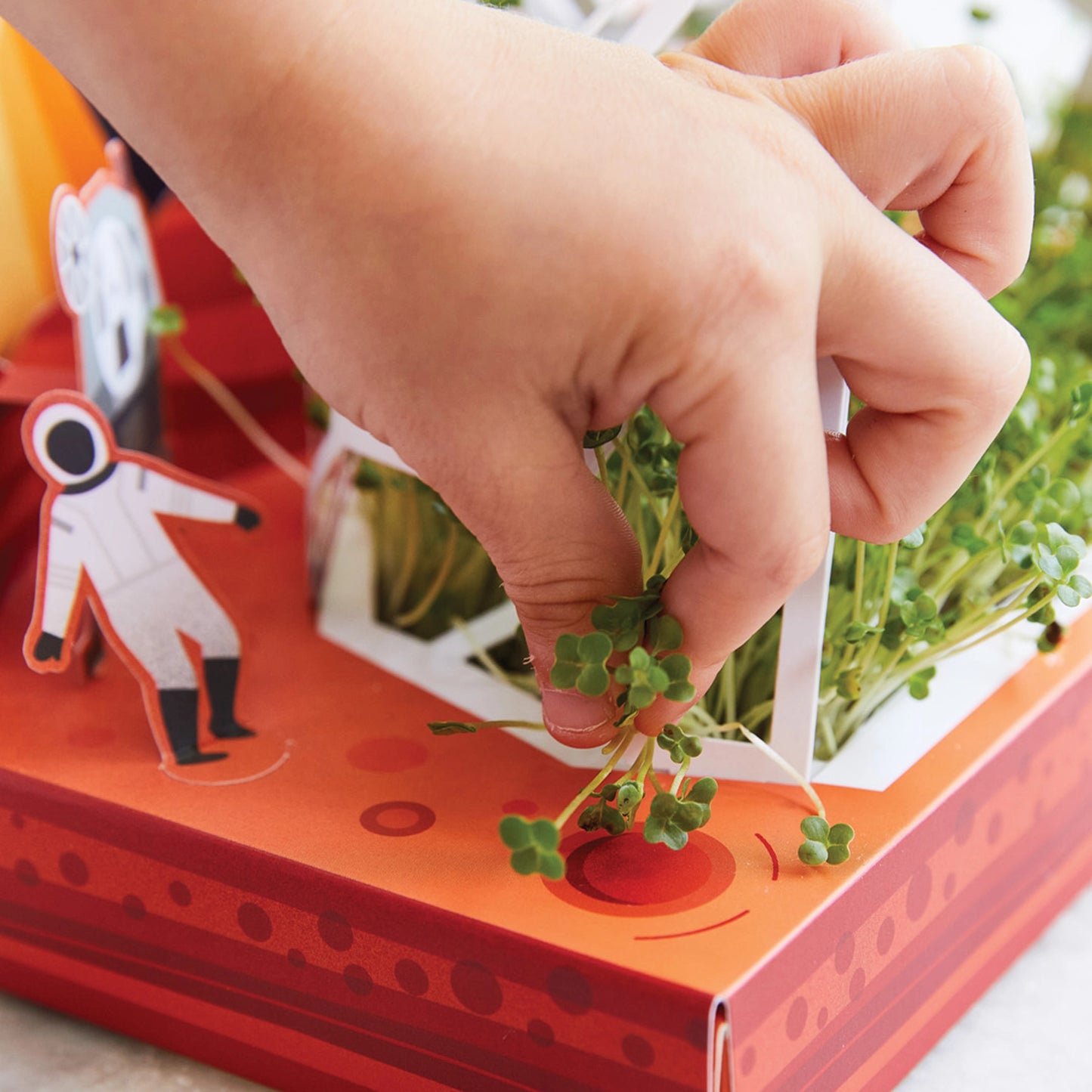 Edible Microgreens Pop-Up Garden