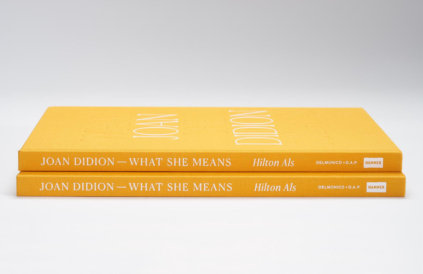 Joan Didion: What She Means