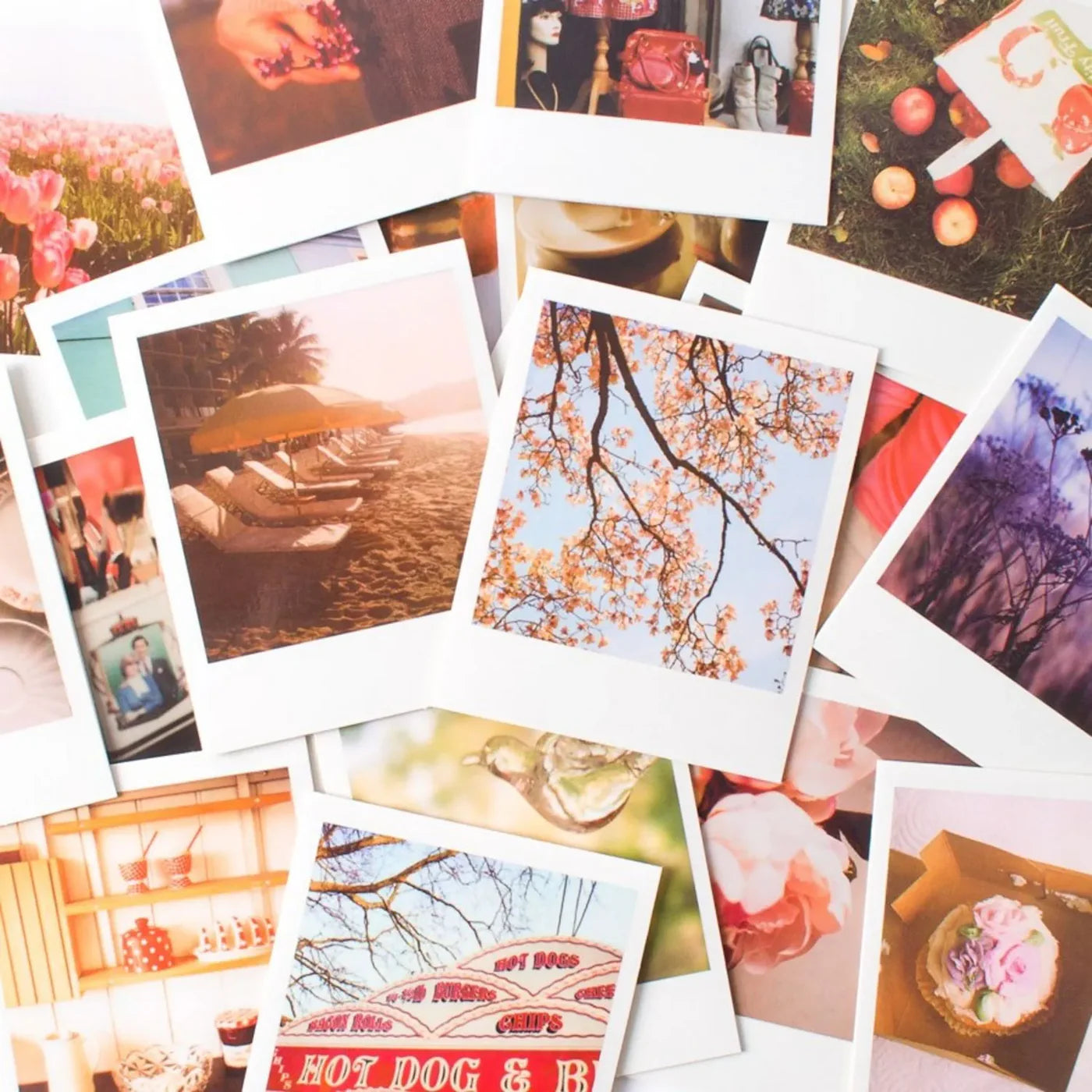 Pretty Polaroid Notes 20 Different Notecards and Envelopes
