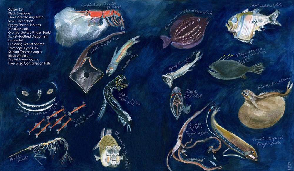Else B. in the Sea: The Woman Who Painted the Wonders of the Deep