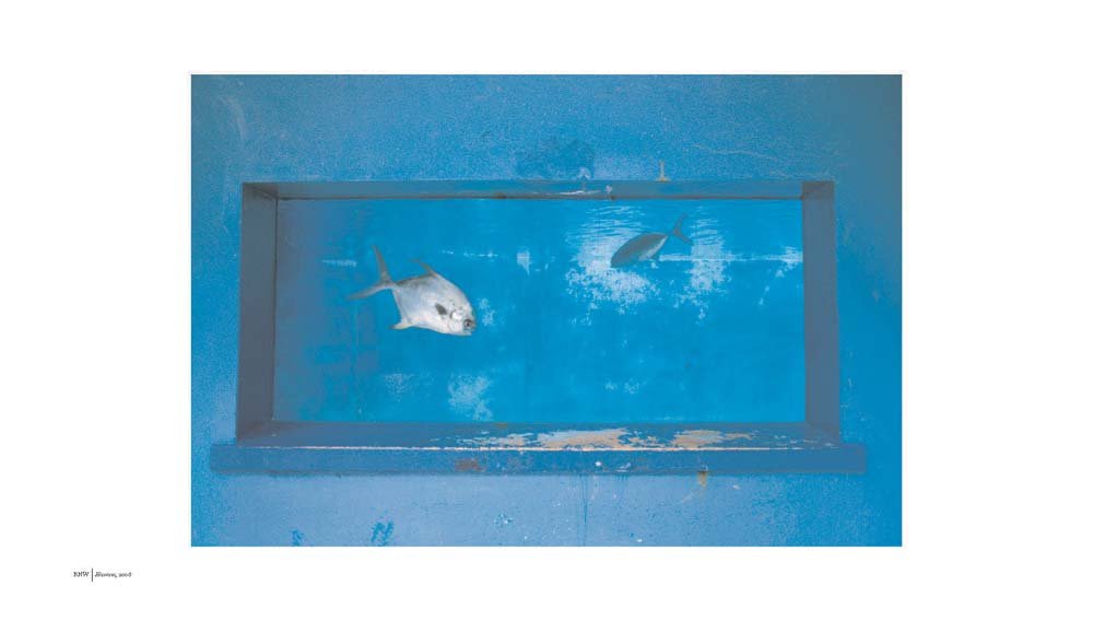 Alex Webb & Rebecca Norris Webb: Violet Isle