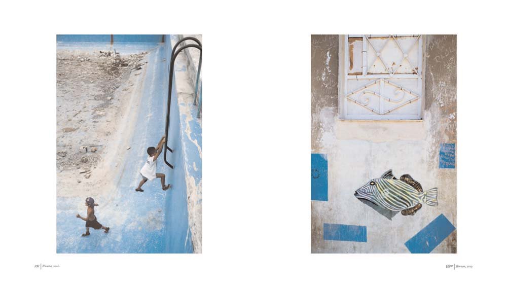 Alex Webb & Rebecca Norris Webb: Violet Isle