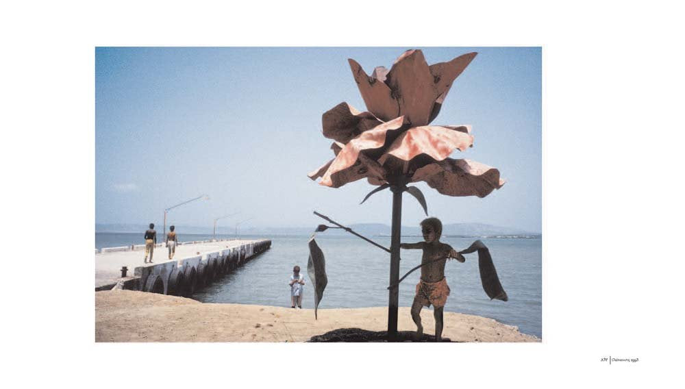 Alex Webb & Rebecca Norris Webb: Violet Isle