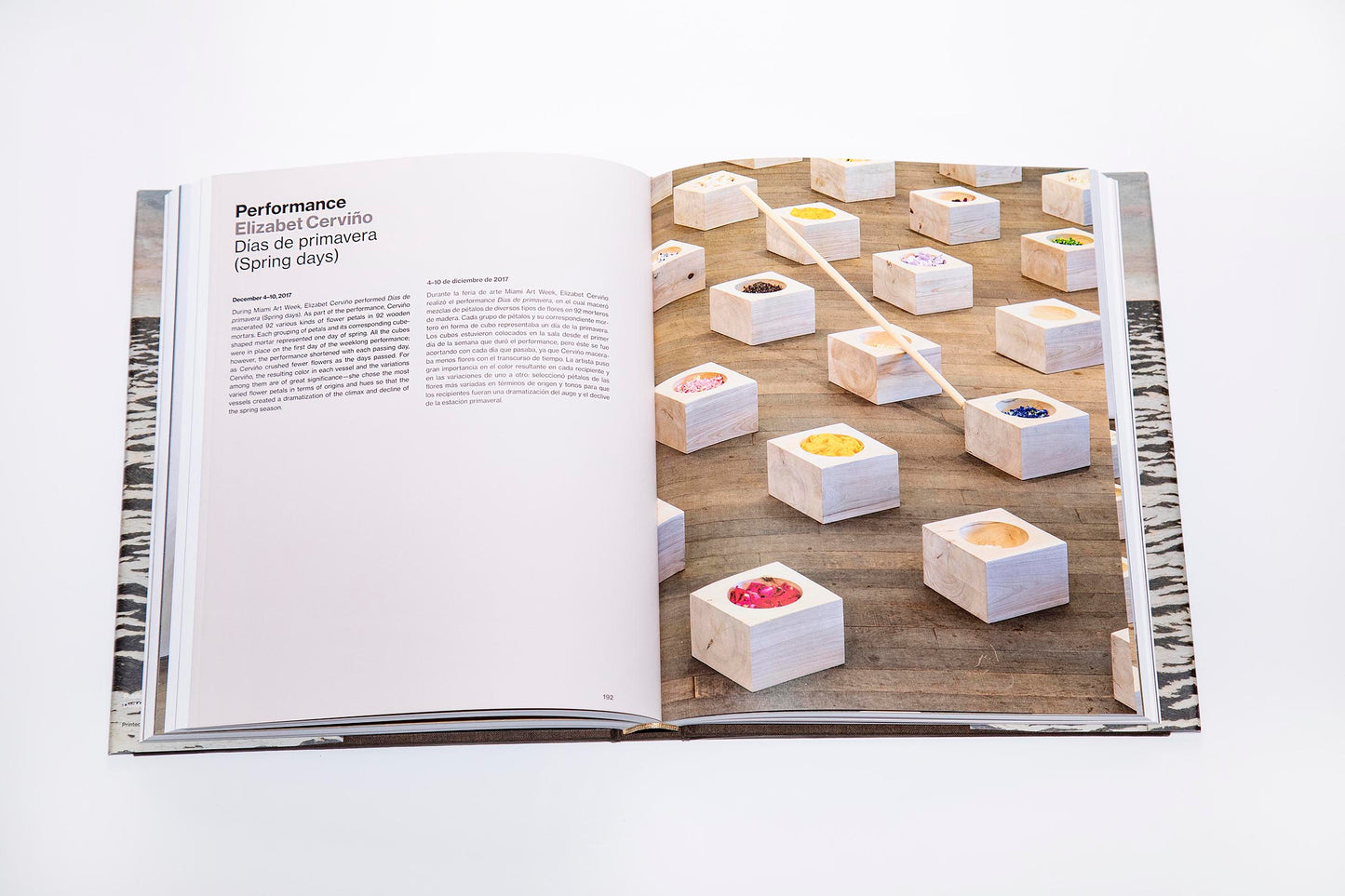 On the Horizon (Hardcover)