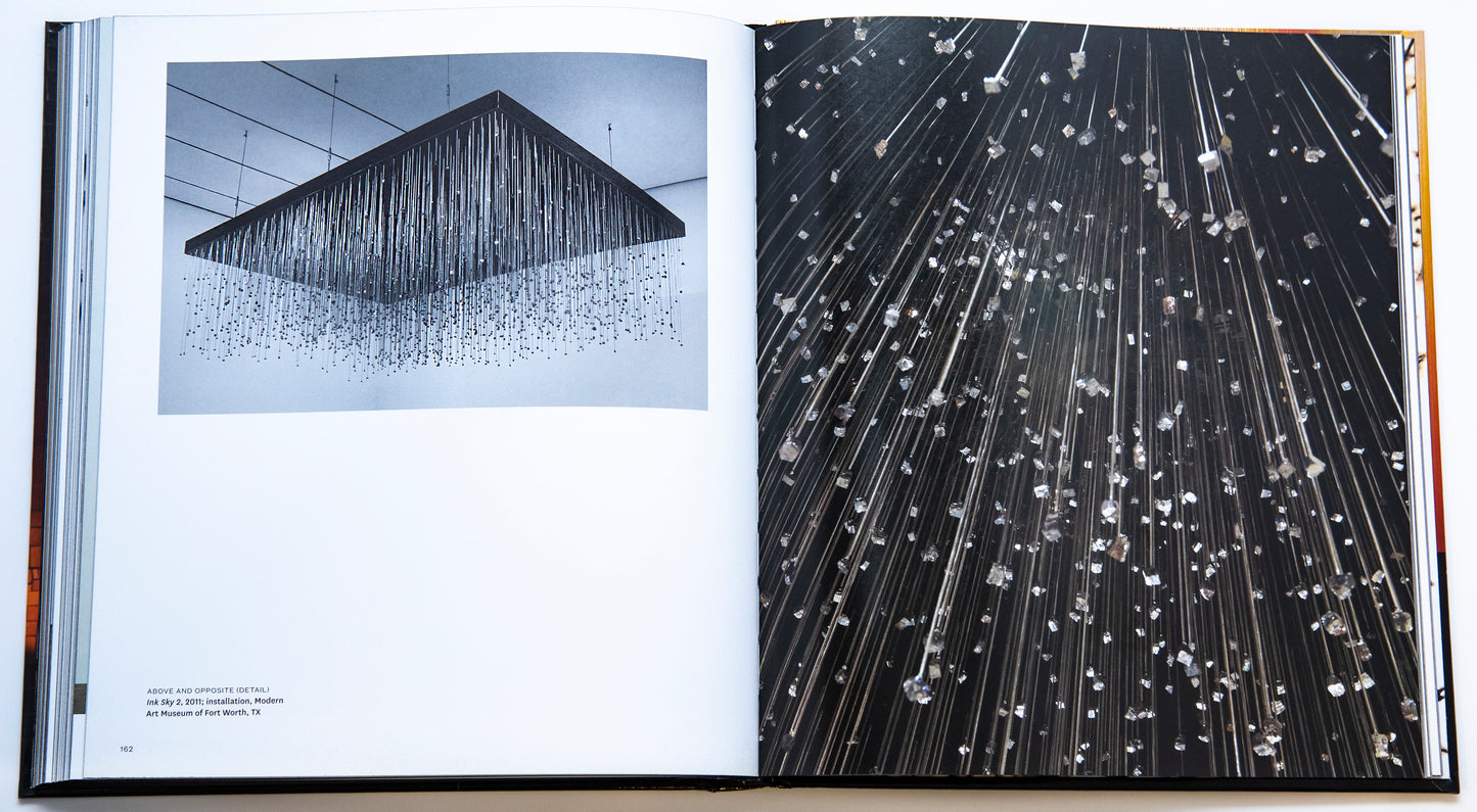 Teresita Fernández: Elemental