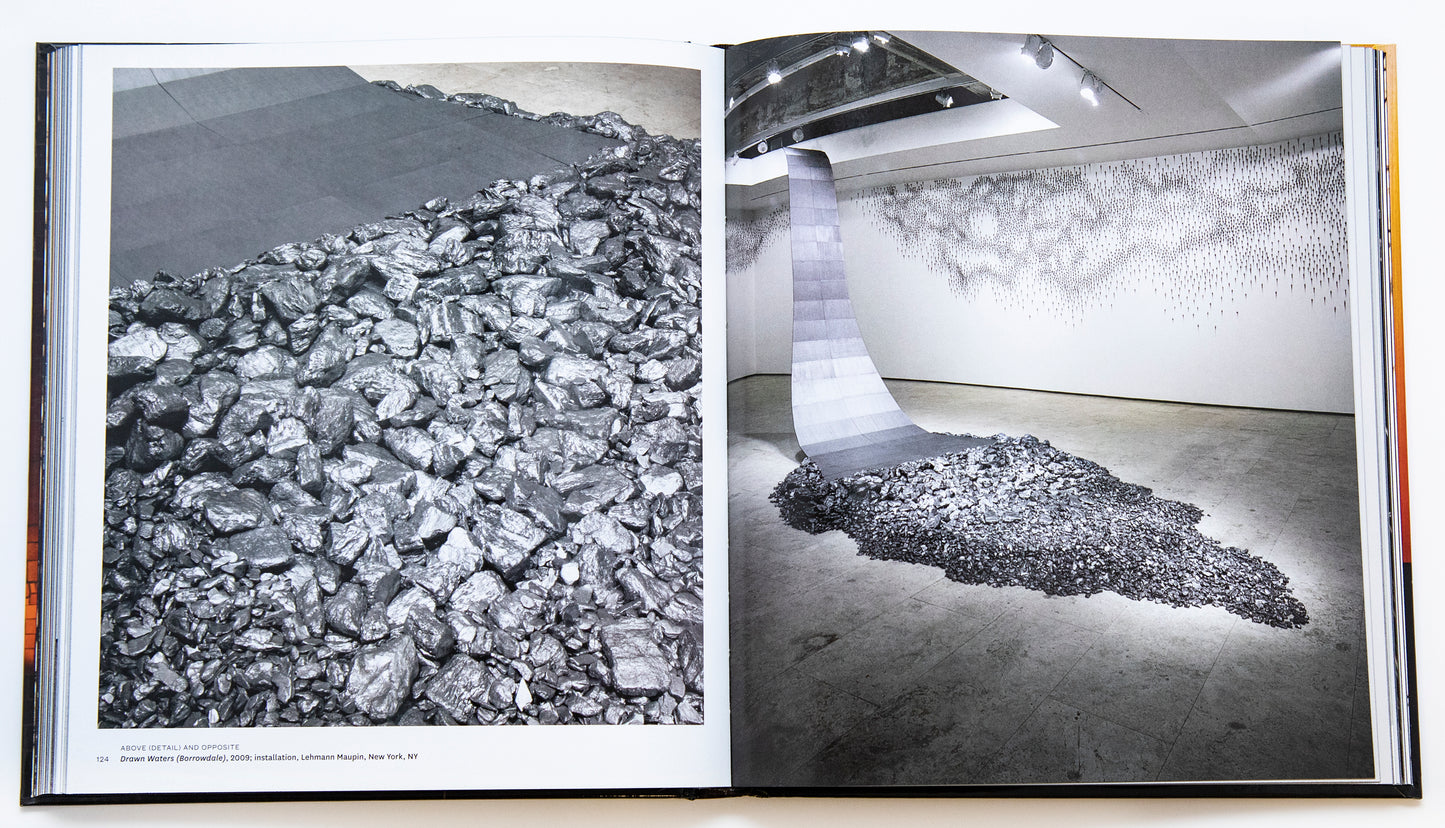 Teresita Fernández: Elemental